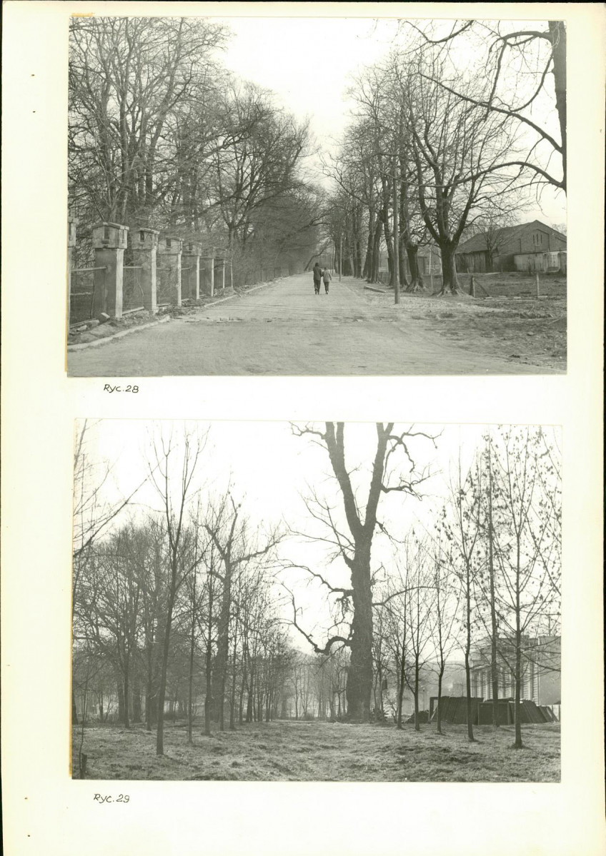 Ewidencja parkowa, skan nr 31