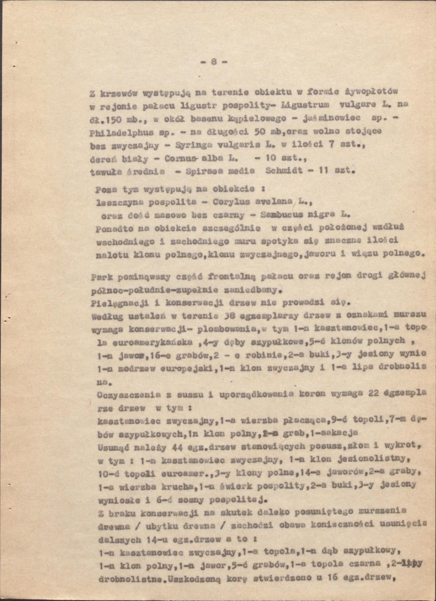 EP - Ewidencja parkowa, skan nr 13