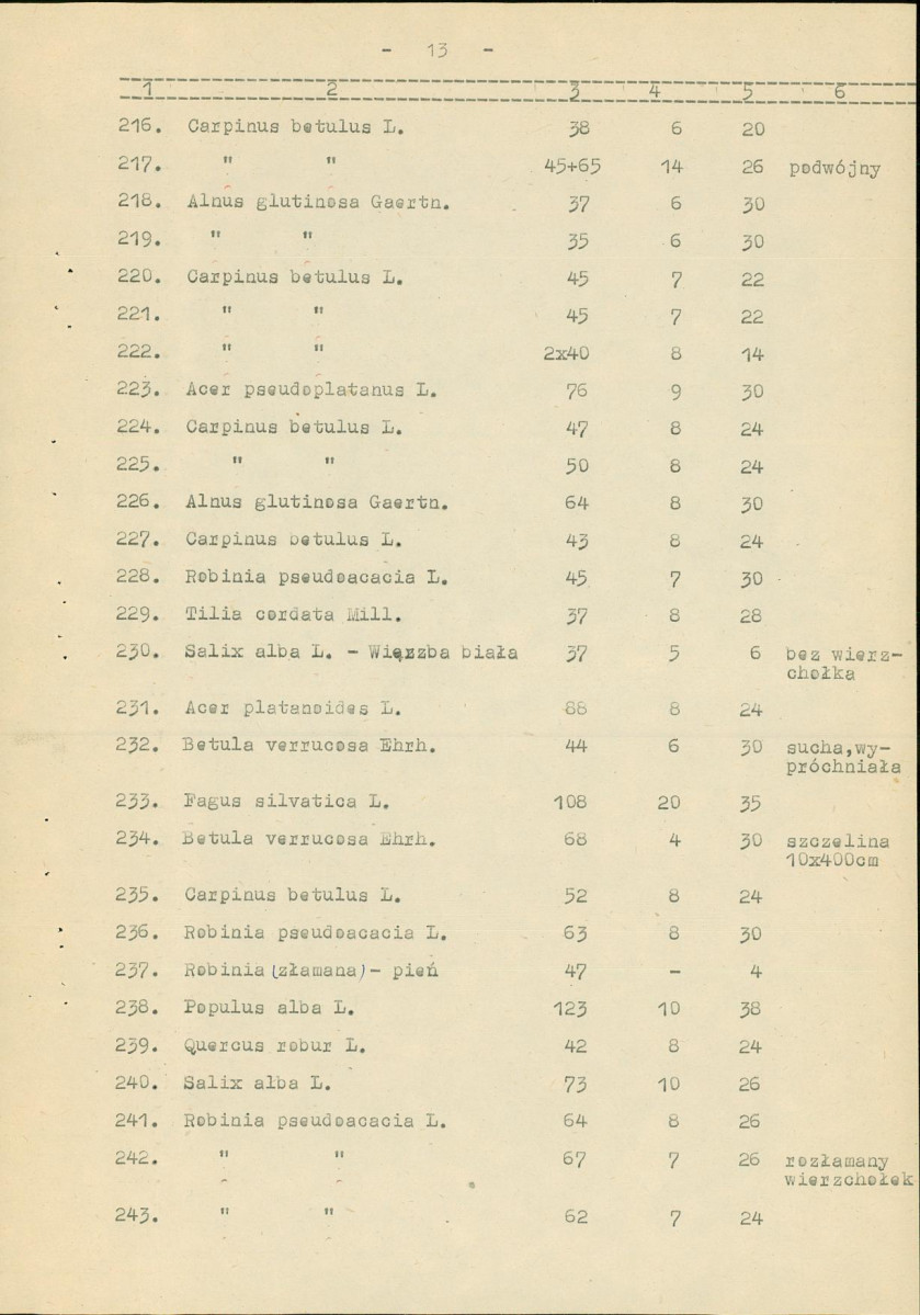 Ewidencja parkowa, skan nr 20