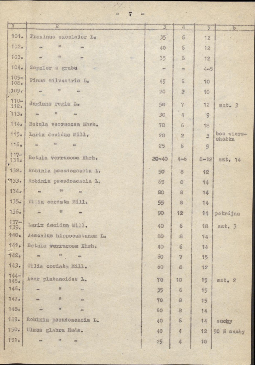 Ewidencja parkowa, skan nr 15