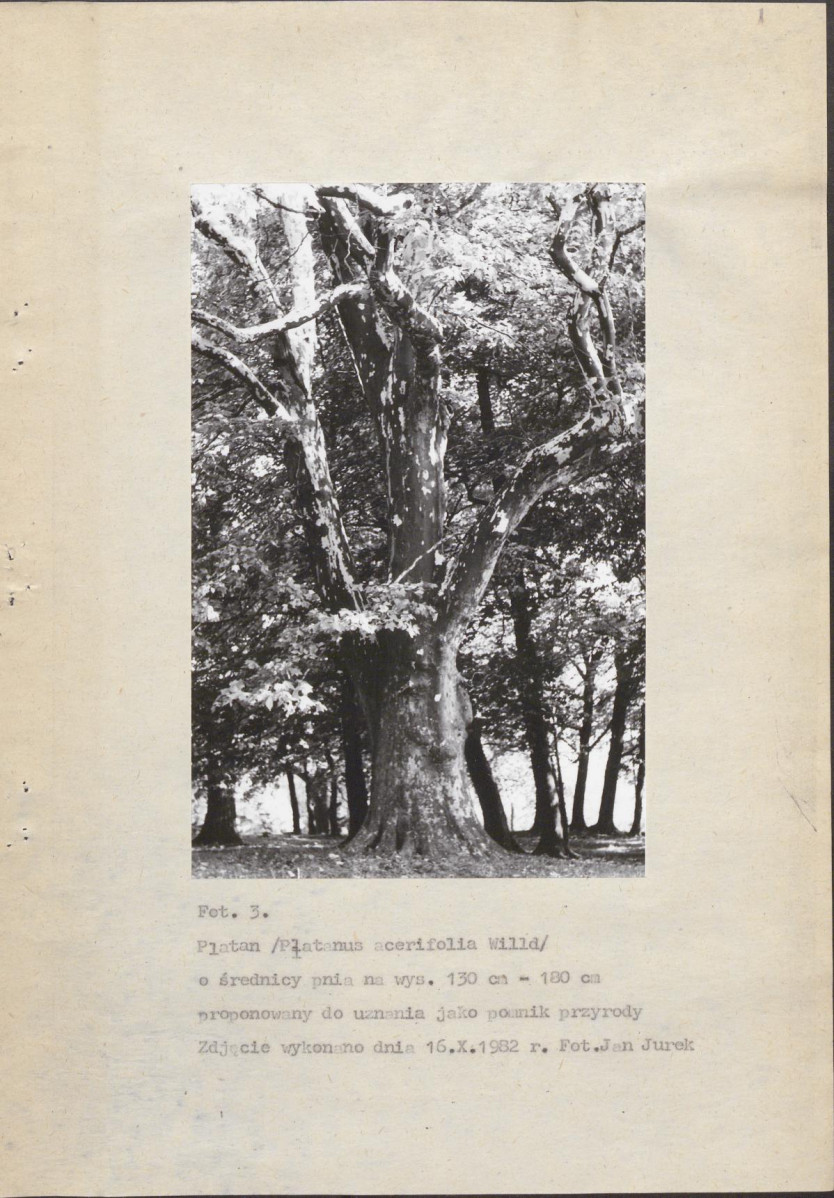 Ewidencja parkowa, skan nr 24
