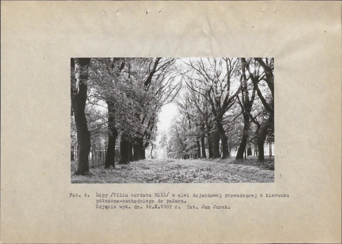 Ewidencja parkowa, skan nr 26