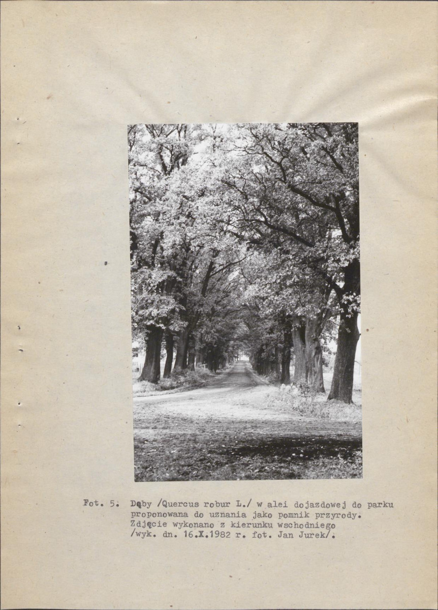Ewidencja parkowa, skan nr 27