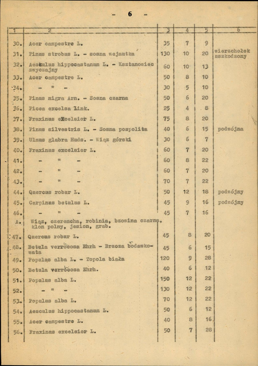 Ewidencja parkowa, skan nr 14