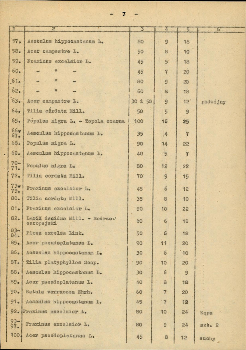 Ewidencja parkowa, skan nr 15