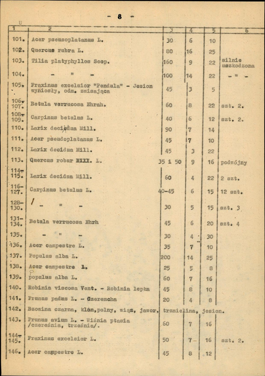 Ewidencja parkowa, skan nr 16
