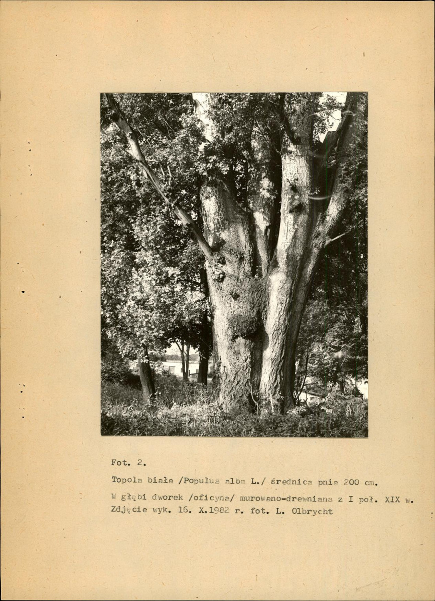 Ewidencja parkowa, skan nr 26