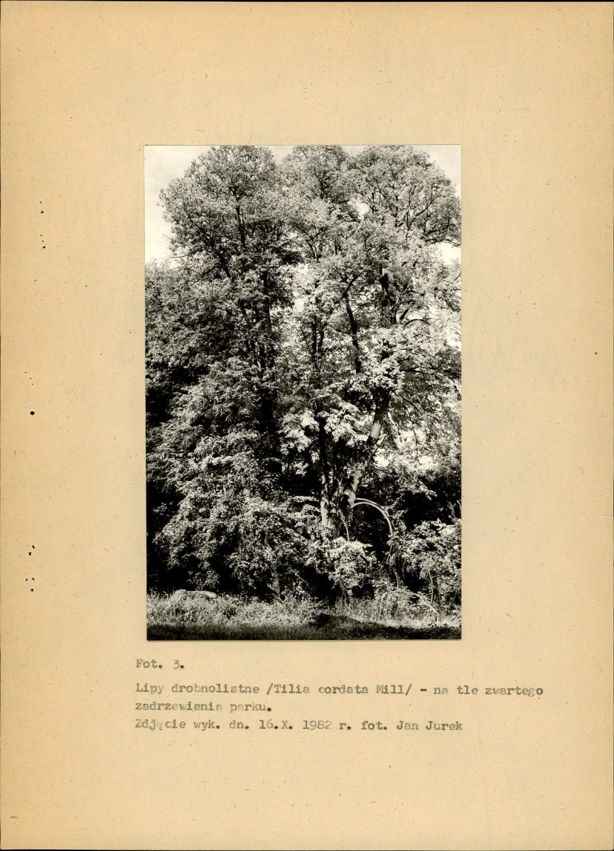 Ewidencja parkowa, skan nr 27