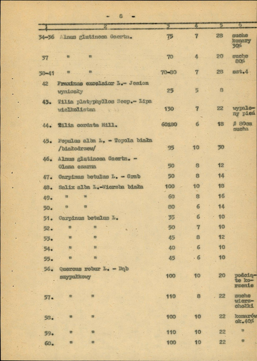 Ewidencja parkowa, skan nr 16