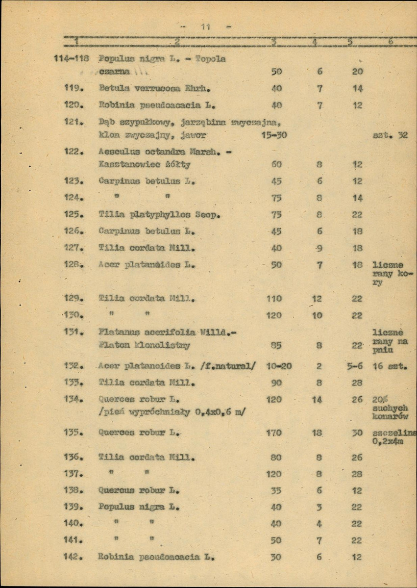Ewidencja parkowa, skan nr 19