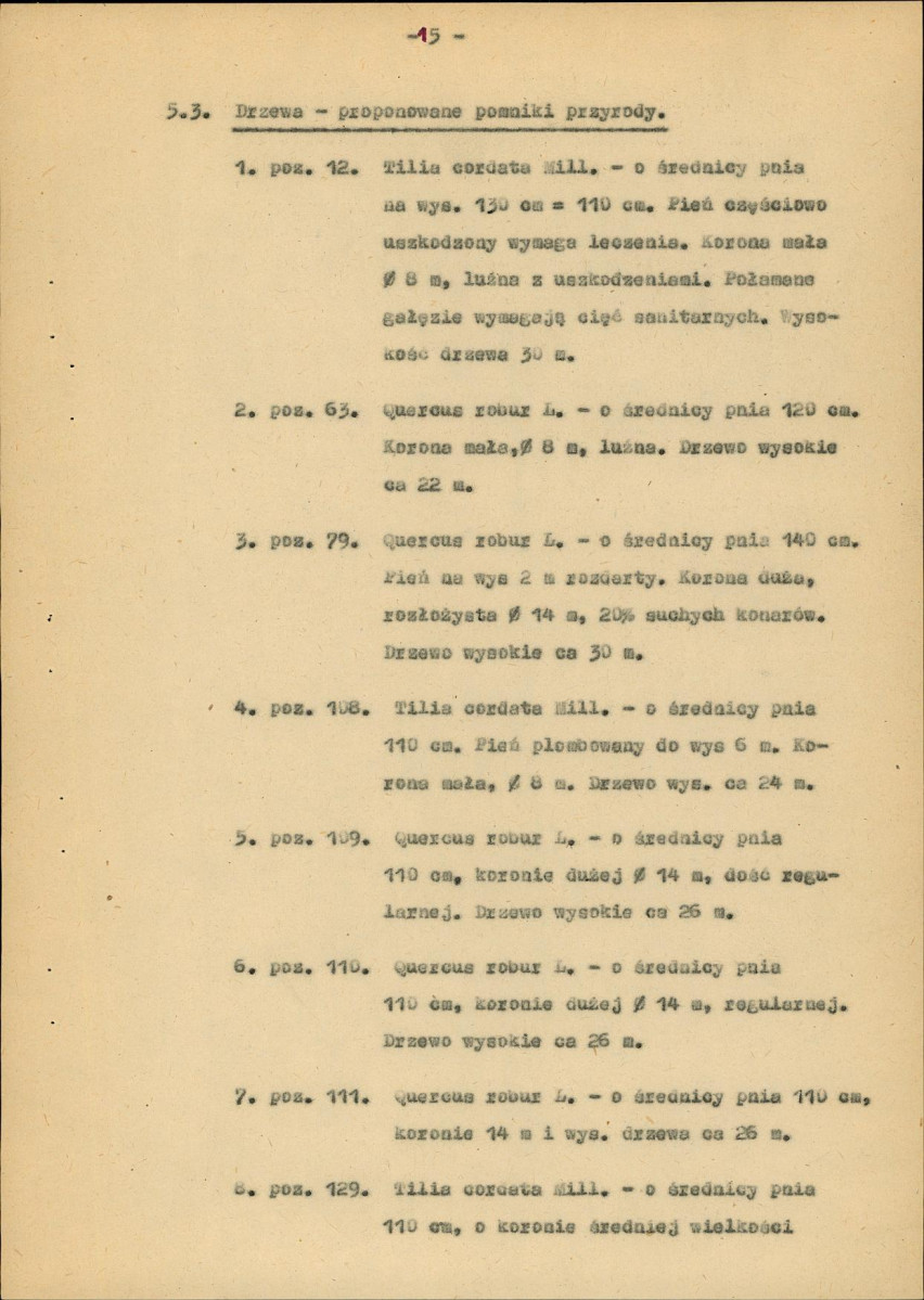 Ewidencja parkowa, skan nr 23