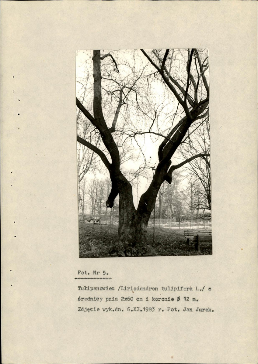 Ewidencja parkowa, skan nr 34