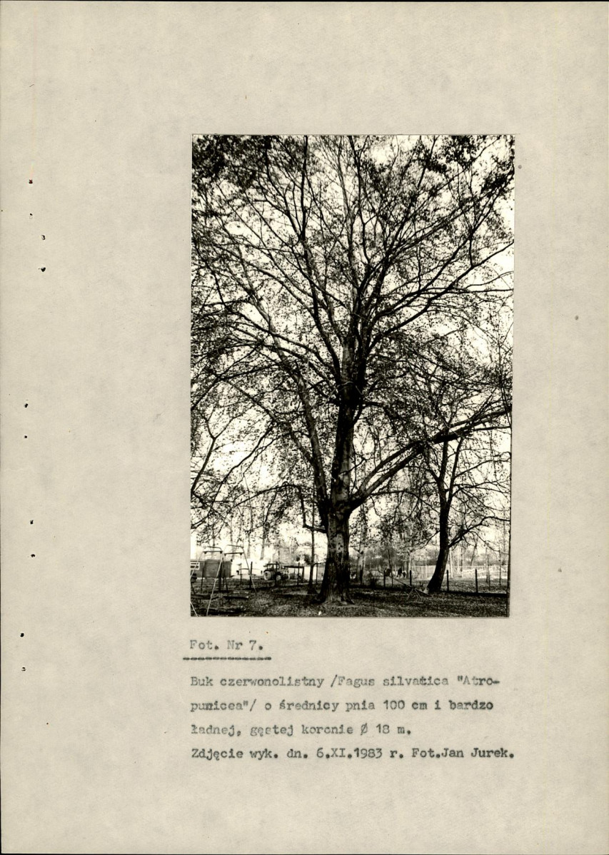 Ewidencja parkowa, skan nr 36