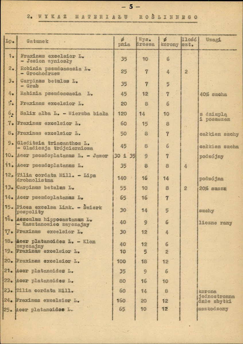 Ewidencja parkowa, skan nr 13
