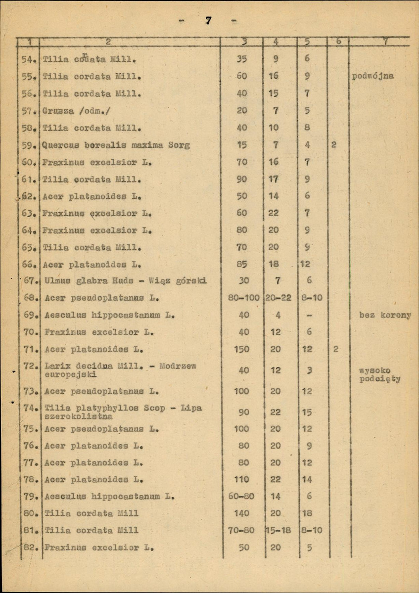 Ewidencja parkowa, skan nr 15