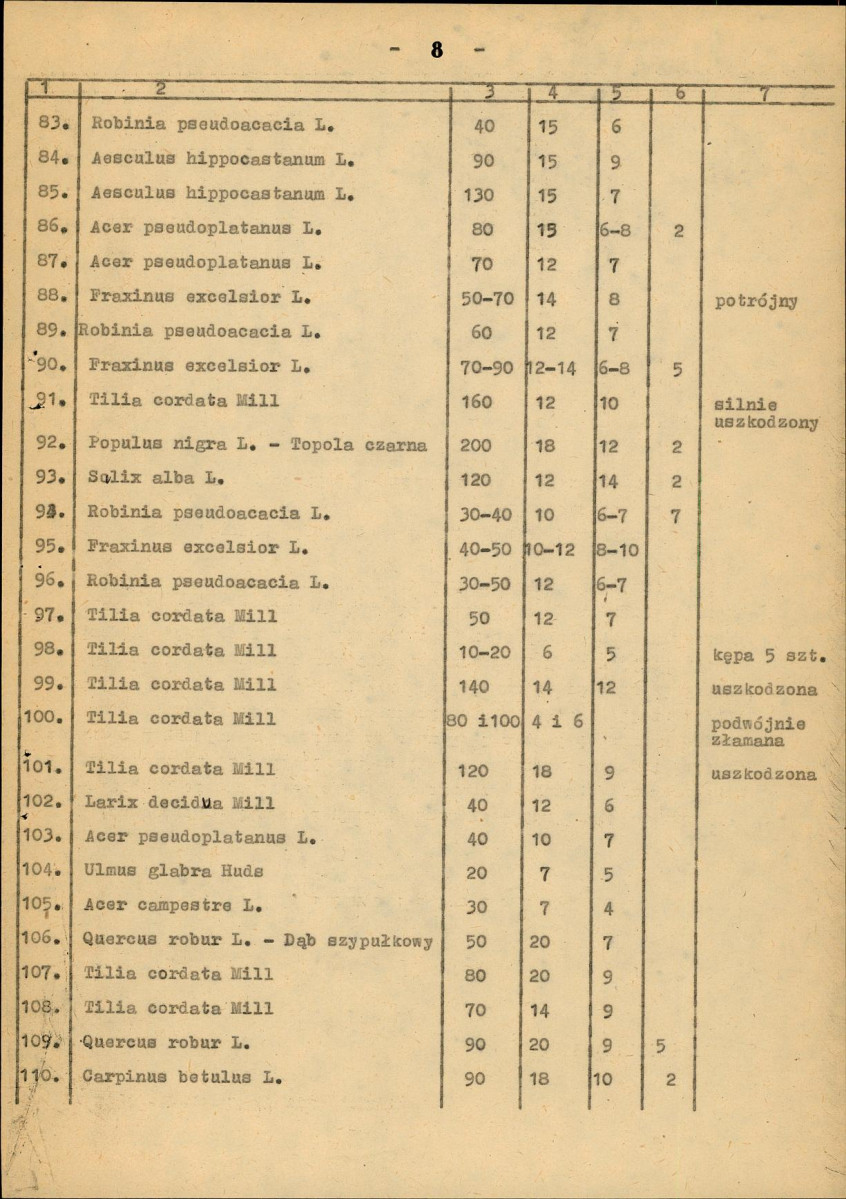 Ewidencja parkowa, skan nr 16