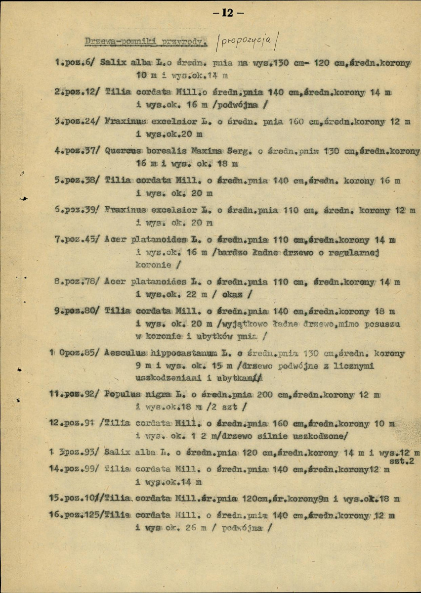 Ewidencja parkowa, skan nr 20