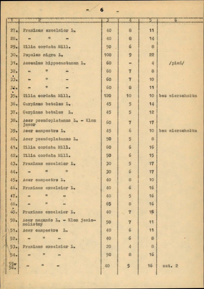 EP - Ewidencja parkowa, skan nr 15