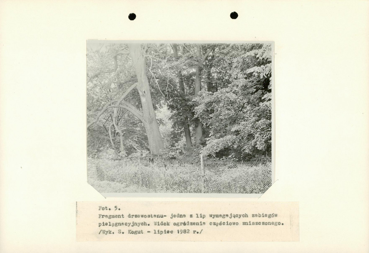 EP - Ewidencja parkowa, skan nr 28