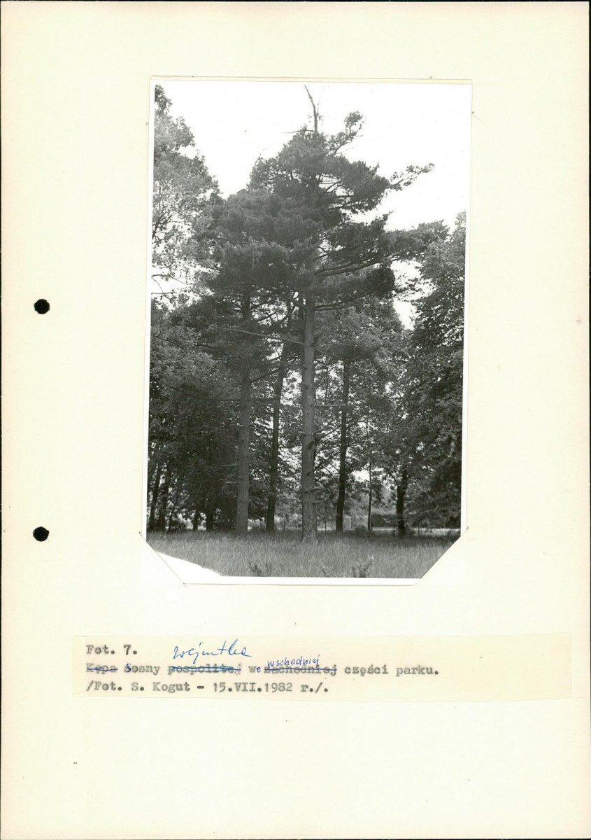EP - Ewidencja parkowa, skan nr 28