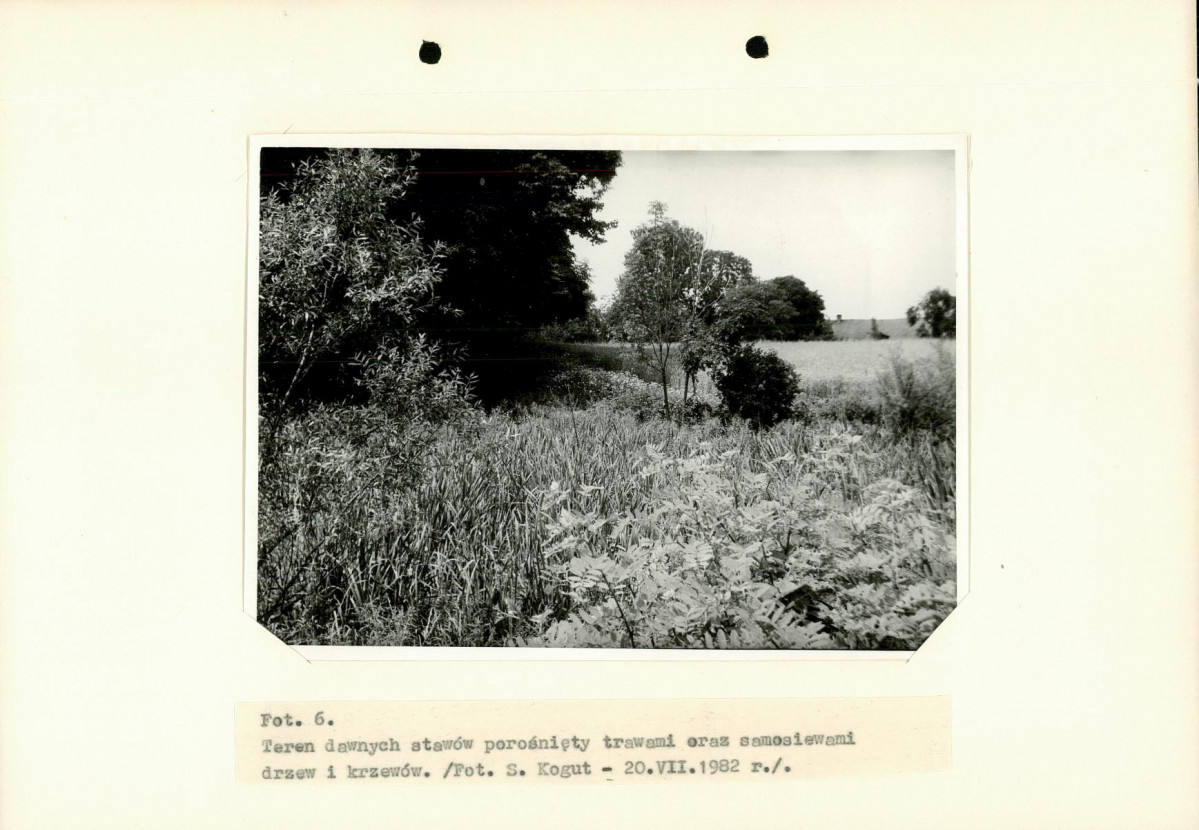 EP - Ewidencja parkowa, skan nr 28