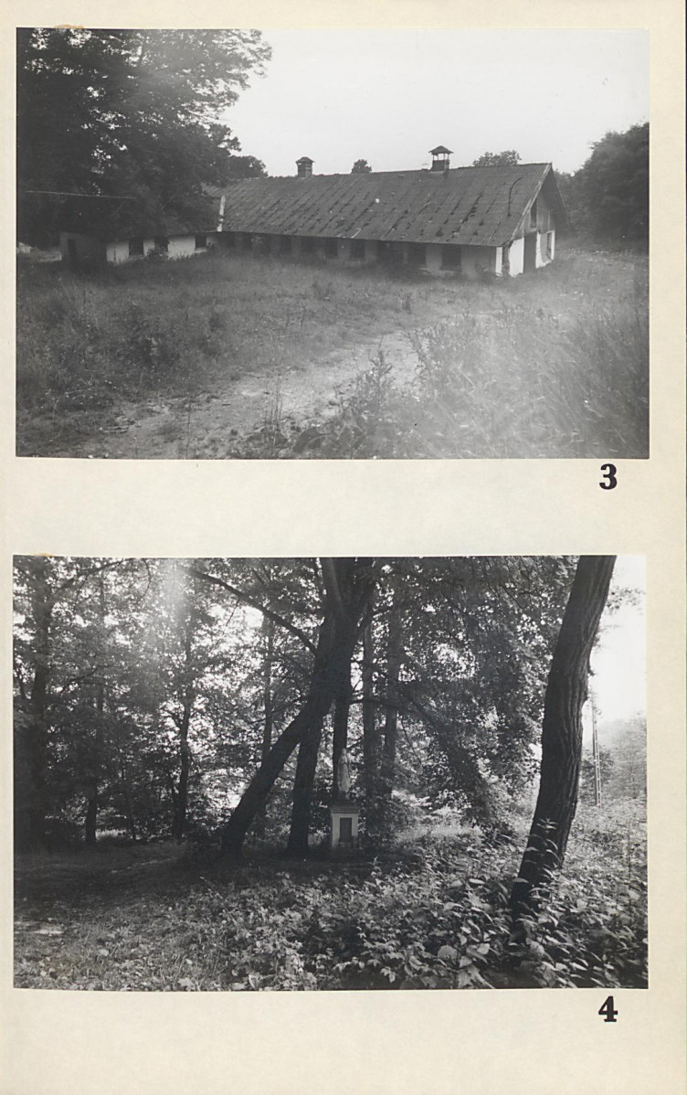 EP - Ewidencja parkowa, skan nr 29