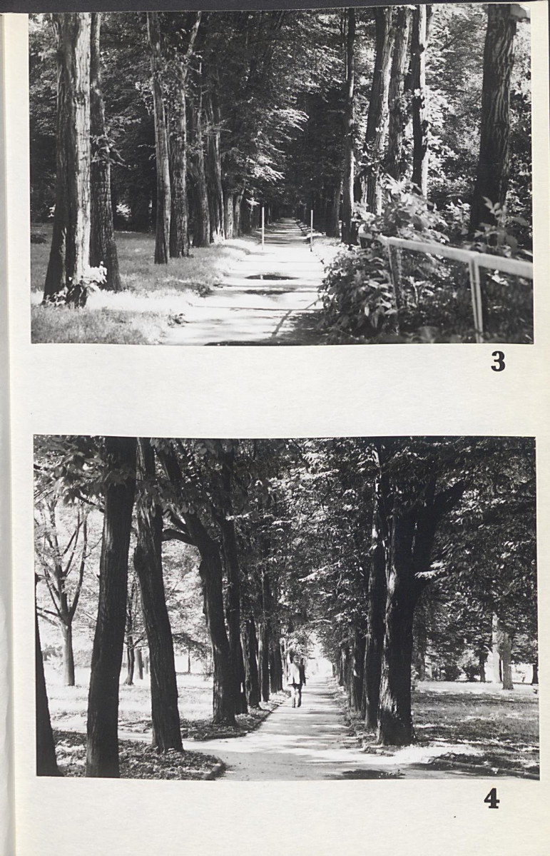 Ewidencja parkowa, skan nr 40