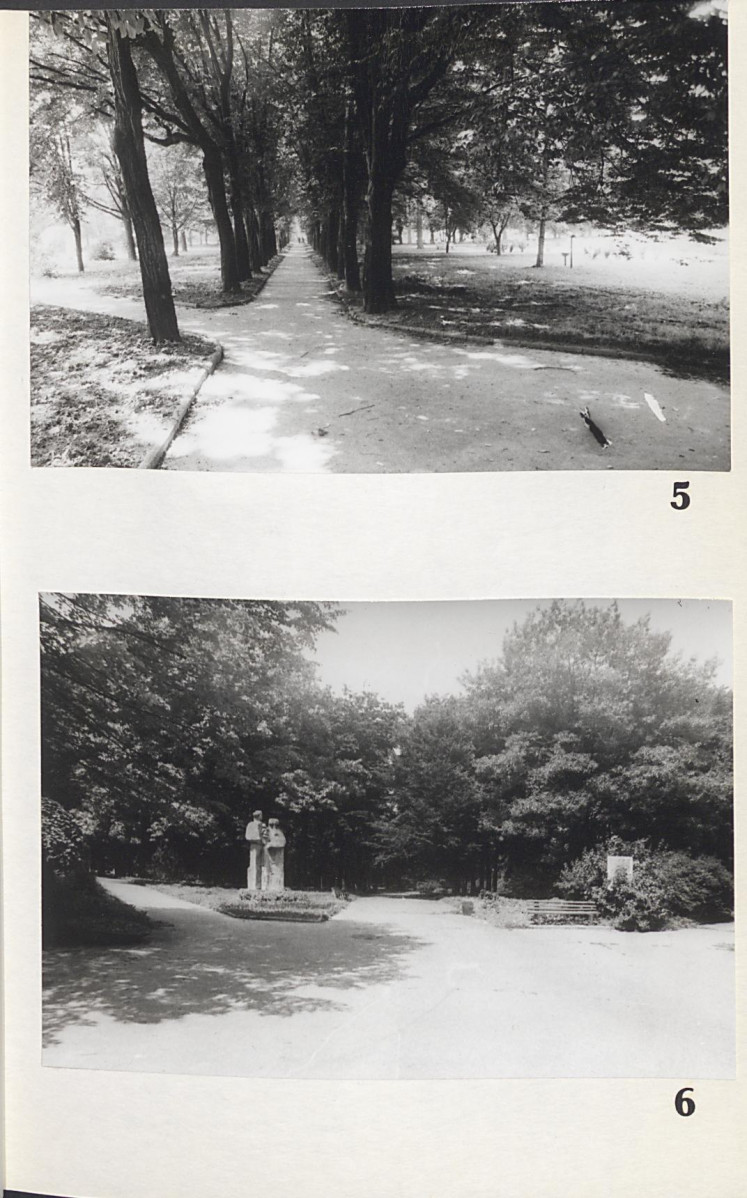 Ewidencja parkowa, skan nr 41