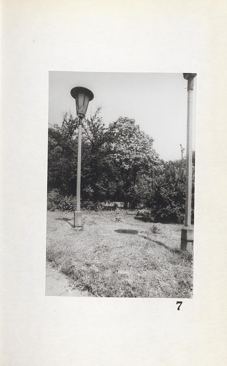 Ewidencja parkowa, skan nr 42