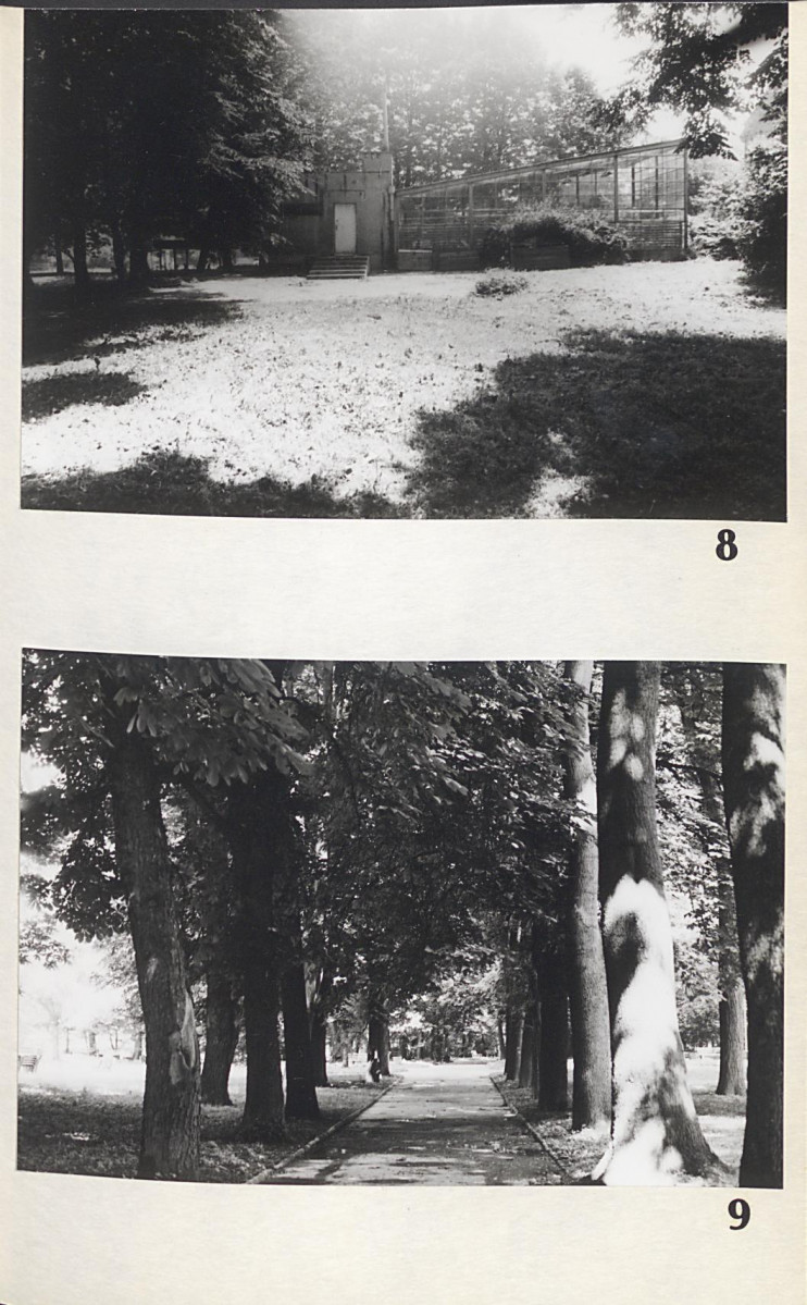 Ewidencja parkowa, skan nr 43