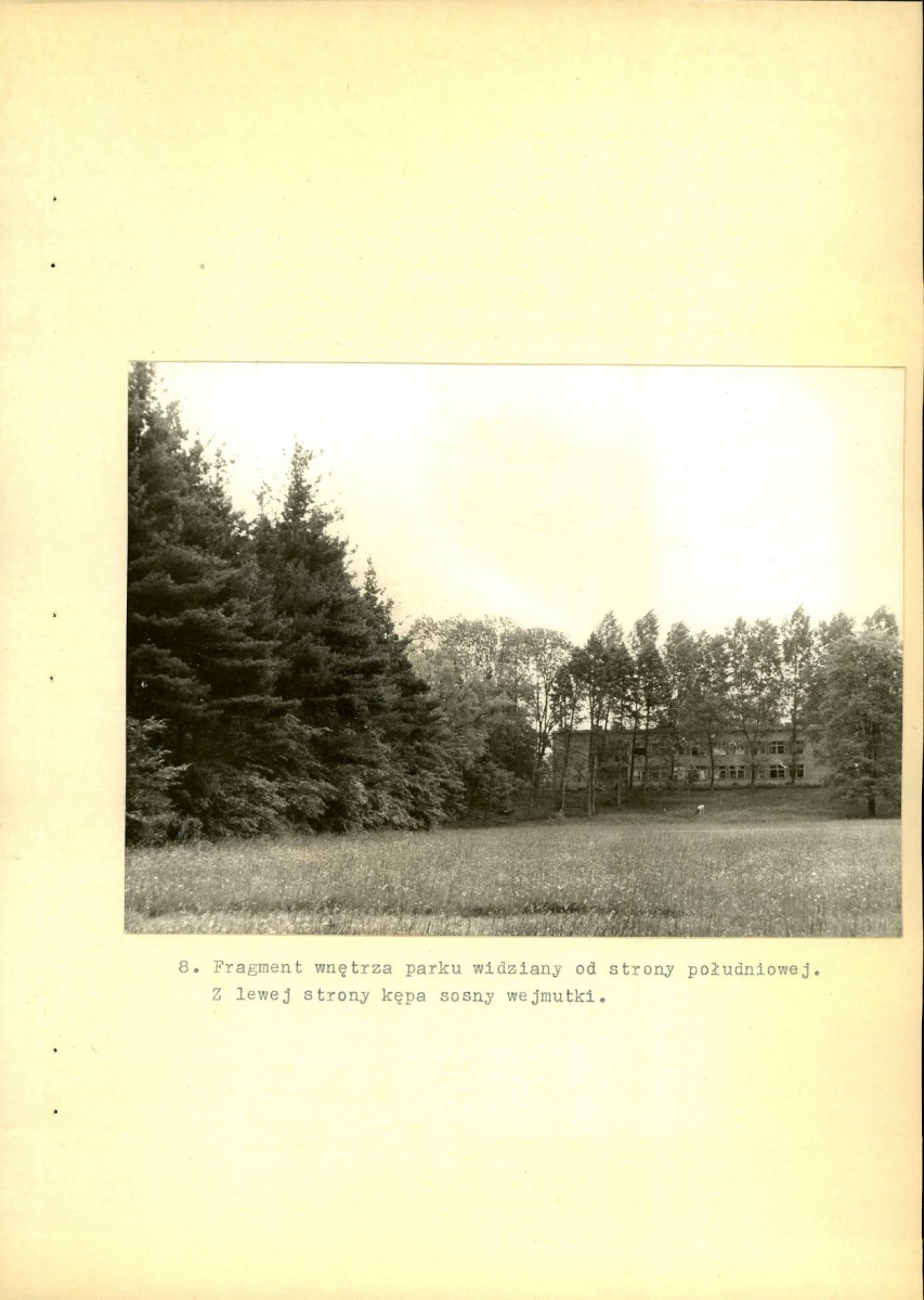 Ewidencja parkowa, skan nr 37