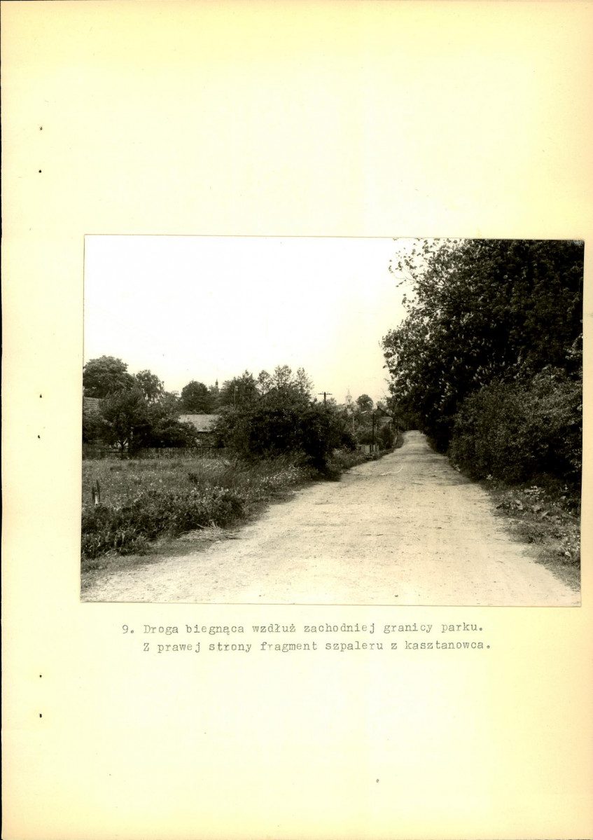 Ewidencja parkowa, skan nr 38