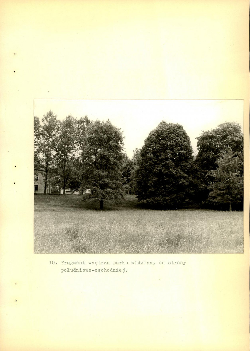 Ewidencja parkowa, skan nr 39