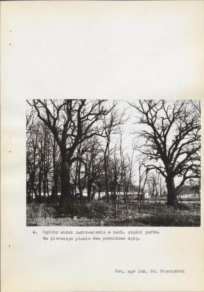 Ewidencja parkowa, skan nr 42