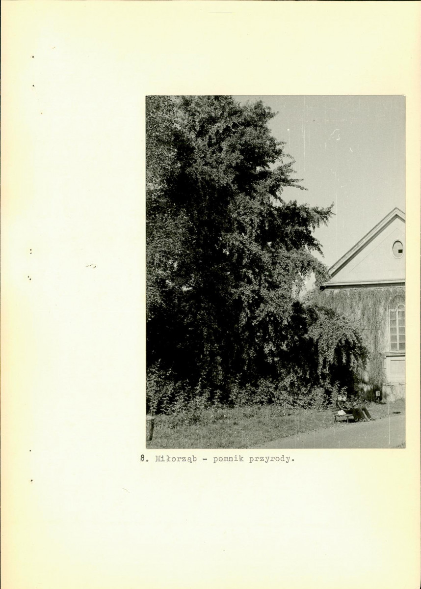 Ewidencja parkowa, skan nr 43
