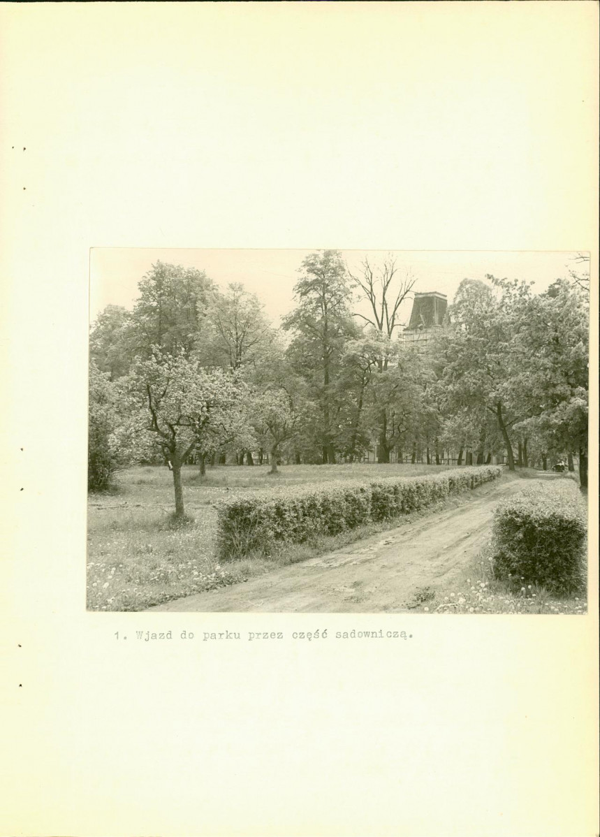 Ewidencja parkowa, skan nr 22