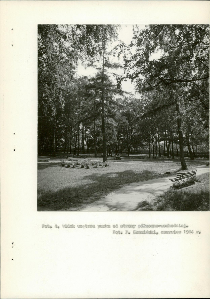 Ewidencja parkowa, skan nr 36