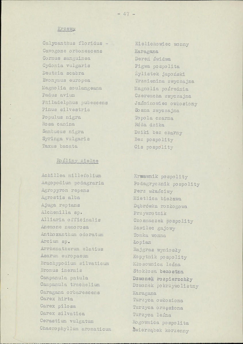 Ewidencja parkowa, skan nr 56