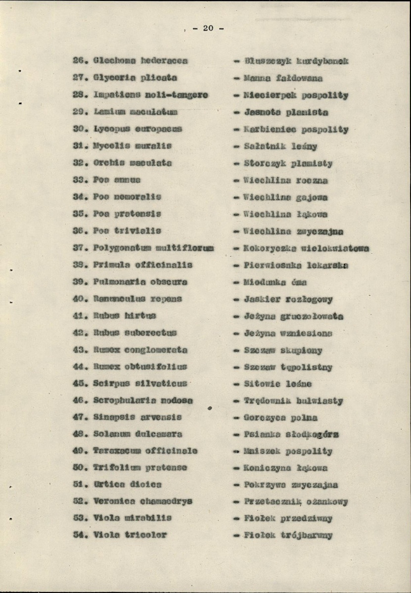 Ewidencja parkowa, skan nr 32