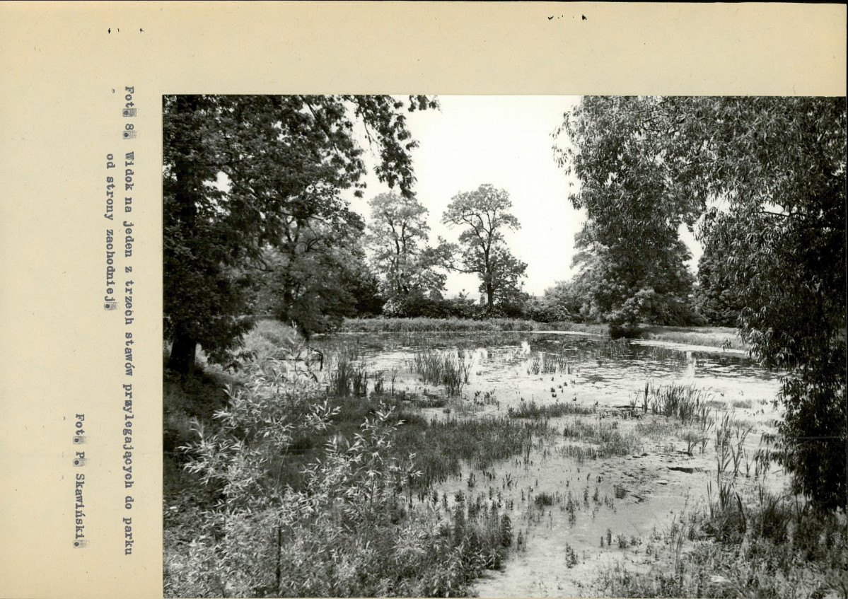 Ewidencja parkowa, skan nr 78