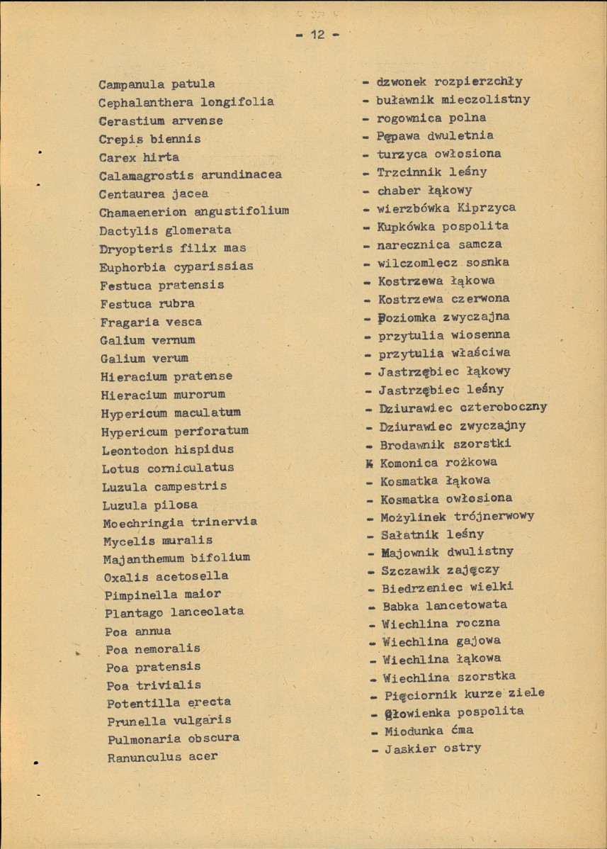 EP - Ewidencja parkowa, skan nr 20