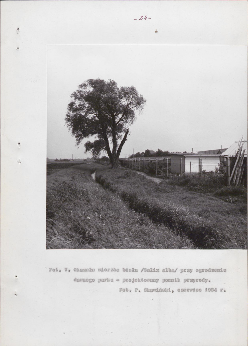 EP - Ewidencja parkowa, skan nr 46