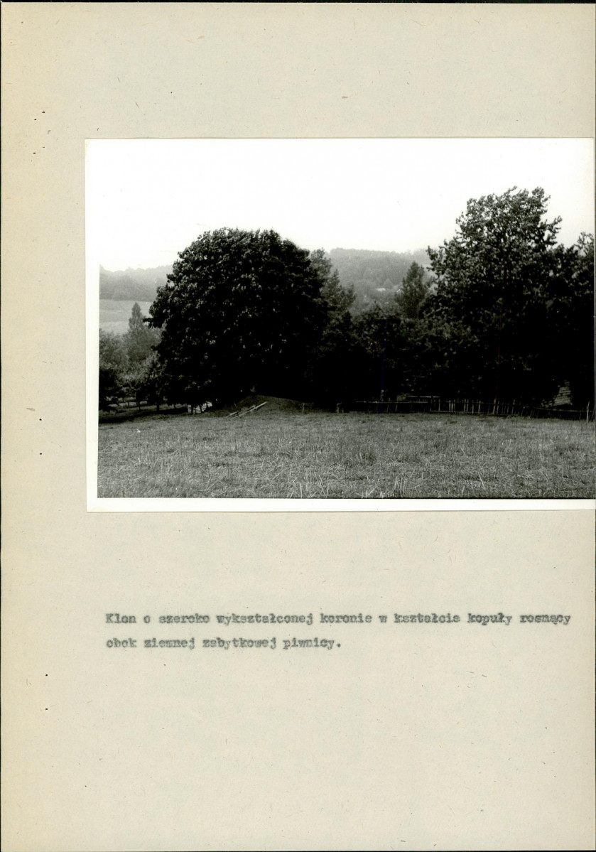 EP - Ewidencja parkowa, skan nr 16