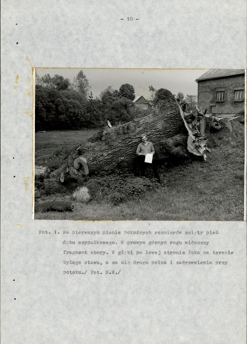 Ewidencja parkowa, skan nr 23