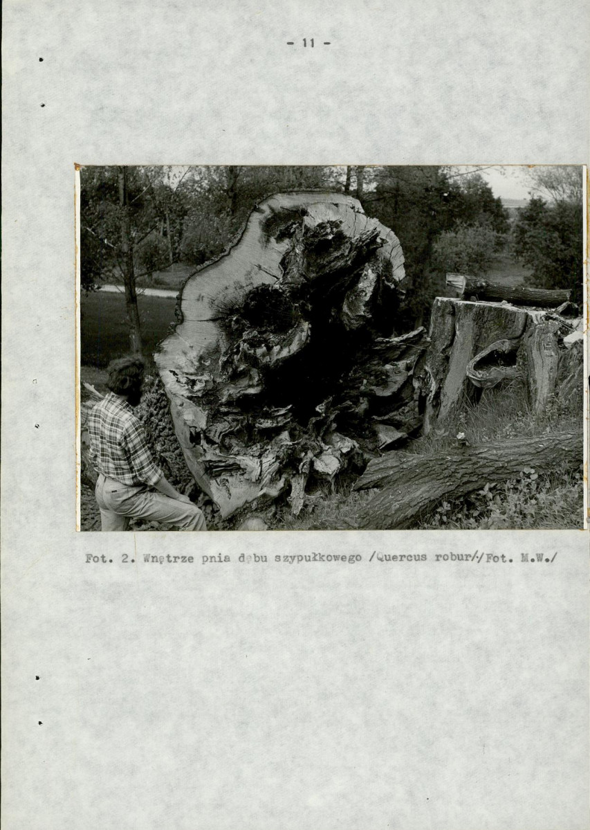 Ewidencja parkowa, skan nr 24