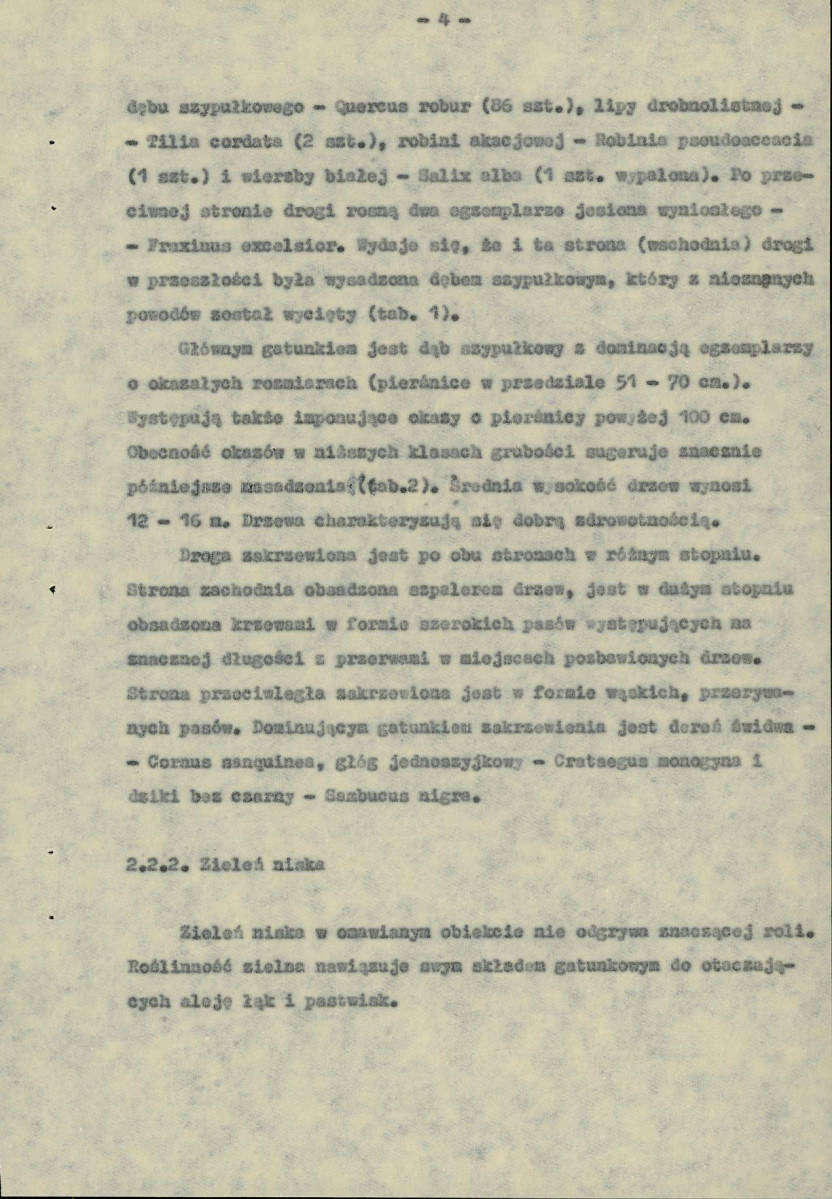 Ewidencja parkowa, skan nr 13
