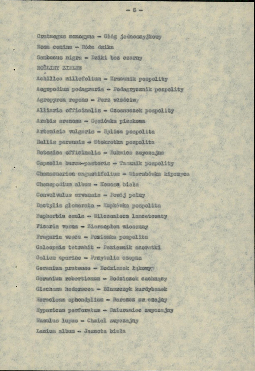 Ewidencja parkowa, skan nr 19