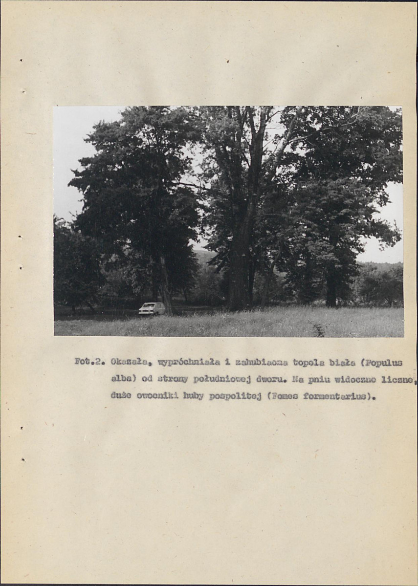 EP - Ewidencja parkowa, skan nr 37