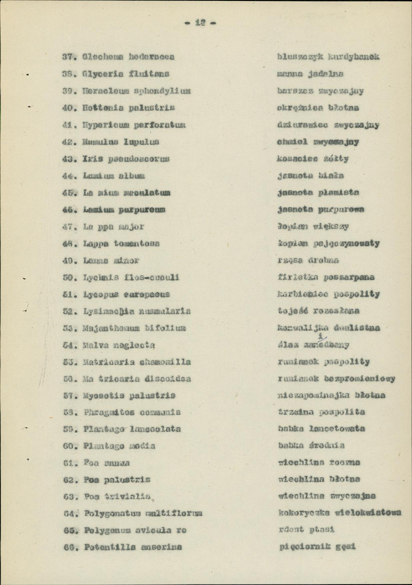 Ewidencja parkowa, skan nr 22