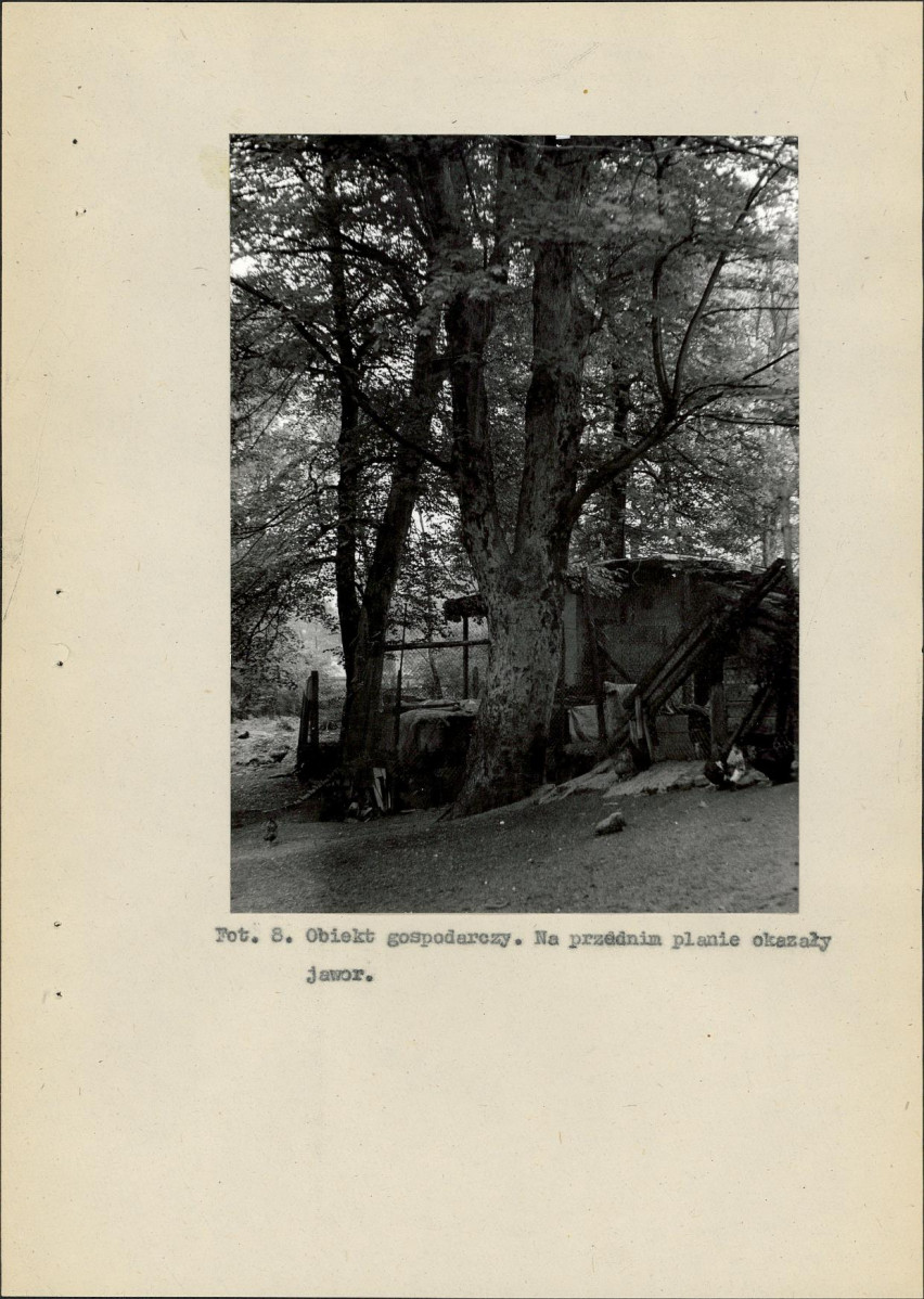 Ewidencja parkowa, skan nr 38